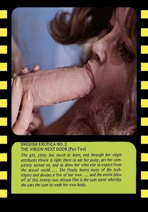 Swedish Erotica 2: The Virgin Next Door 2