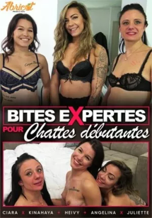 Bites Expertes Pour Chattes Debutantes