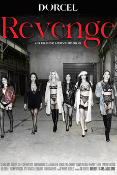 Revenge (français)