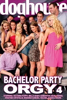 Bachelor Party Orgy 4