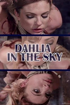 Dahlia In The Sky