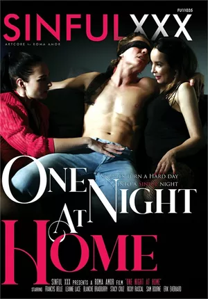 Porn Film Online - One Night At Home picture