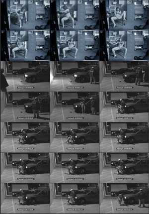 Security Cam Chronicles 7