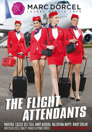 Airplane Porn Captions - Porn Film Online - The Flight Attendants - Watching Free!